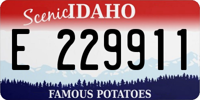 ID license plate E229911