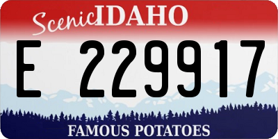 ID license plate E229917