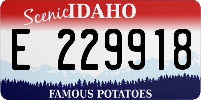 ID license plate E229918
