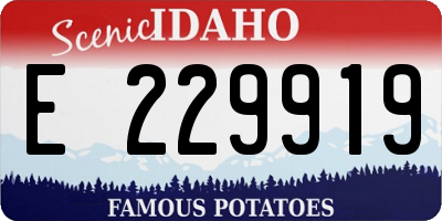 ID license plate E229919