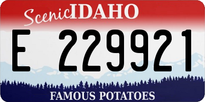 ID license plate E229921