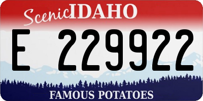 ID license plate E229922