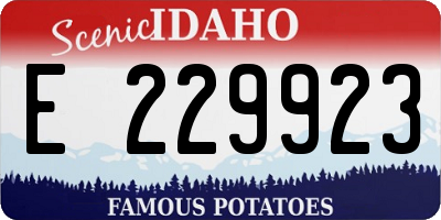 ID license plate E229923
