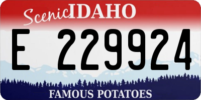ID license plate E229924