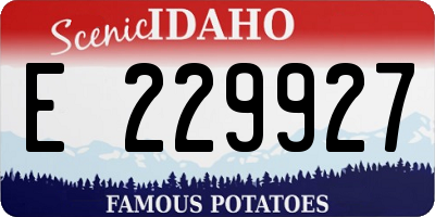 ID license plate E229927