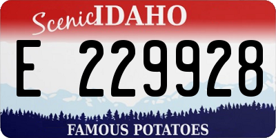 ID license plate E229928