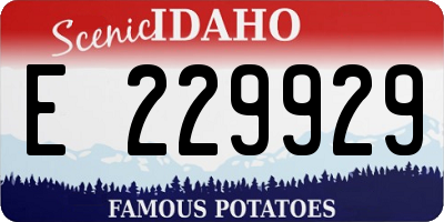 ID license plate E229929