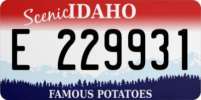 ID license plate E229931