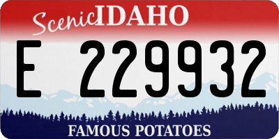 ID license plate E229932