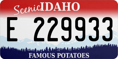 ID license plate E229933