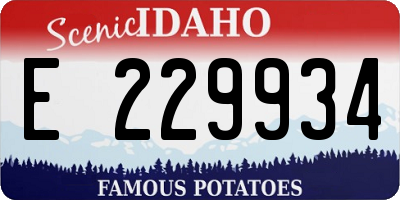 ID license plate E229934