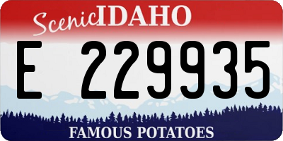 ID license plate E229935