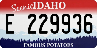 ID license plate E229936