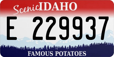 ID license plate E229937