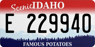 ID license plate E229940