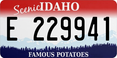 ID license plate E229941