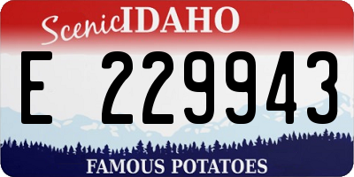 ID license plate E229943