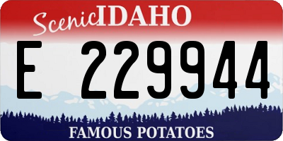 ID license plate E229944