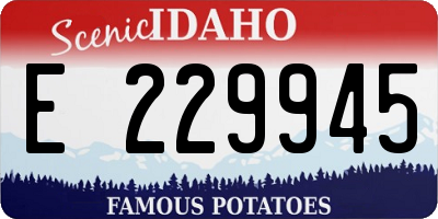 ID license plate E229945