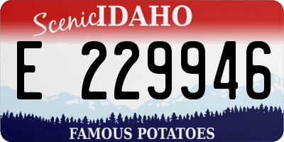 ID license plate E229946