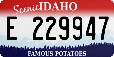 ID license plate E229947