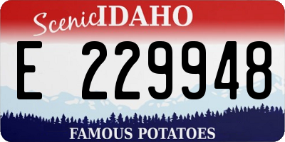 ID license plate E229948