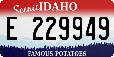 ID license plate E229949