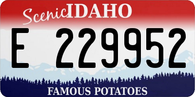 ID license plate E229952