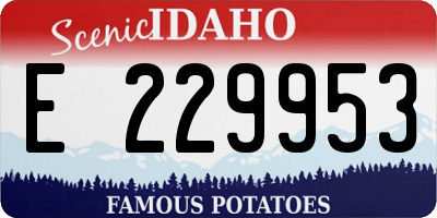 ID license plate E229953