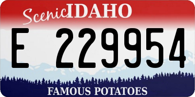 ID license plate E229954