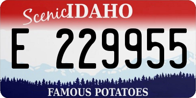 ID license plate E229955