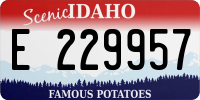 ID license plate E229957