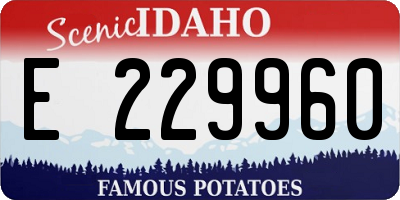 ID license plate E229960