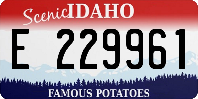 ID license plate E229961