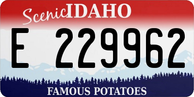 ID license plate E229962
