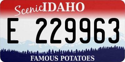 ID license plate E229963