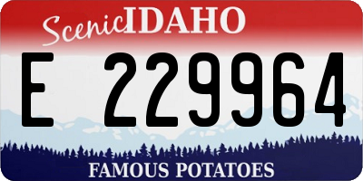 ID license plate E229964