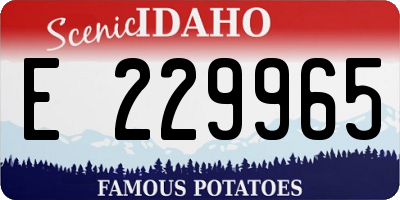 ID license plate E229965