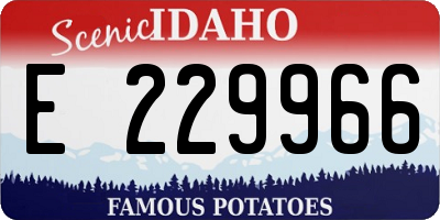 ID license plate E229966