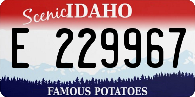 ID license plate E229967