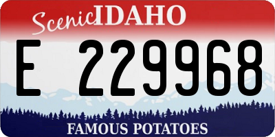ID license plate E229968
