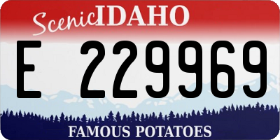 ID license plate E229969