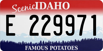 ID license plate E229971
