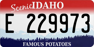 ID license plate E229973