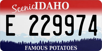 ID license plate E229974