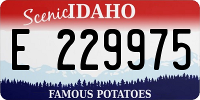 ID license plate E229975