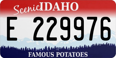 ID license plate E229976