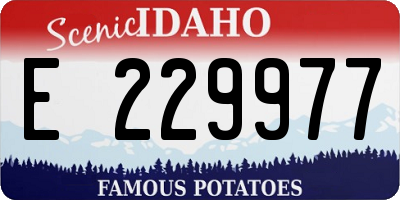 ID license plate E229977