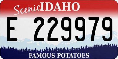 ID license plate E229979