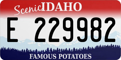 ID license plate E229982